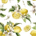 Watercolor seamless pattern of fresh lemons, leaves and blooming flowers. Hand painted ripe fruits isolated on white