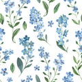 Watercolor seamless pattern of gentle blue flowers of forget-me-not with green leaves on white background