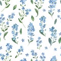 Watercolor seamless pattern of gentle blue flowers of forget-me-not with green leaves on white background Royalty Free Stock Photo