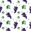 Watercolor seamless pattern with grape and leaves.