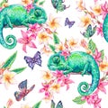 Watercolor seamless pattern with green chameleon Royalty Free Stock Photo