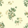 Watercolor seamless pattern with green and gold eucalyptus branches