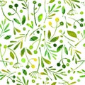 Watercolor seamless pattern. Green herbals and spices.