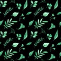 Watercolor seamless pattern with green herbs and leaves on black background
