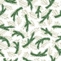 Watercolor seamless pattern with green pine branches and gold holly leaves. Sprig of pine hand drawn for wrapping paper Royalty Free Stock Photo