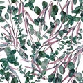 Watercolor seamless pattern with green and pink eucalyptus branches. Hand painted floral pattern Royalty Free Stock Photo