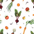 Watercolor seamless pattern with hand drawn carrot, beetroot, onion, tomato, garlic. vegetables isolated on white Royalty Free Stock Photo