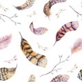 Watercolor seamless pattern with hand drawn feathers. Royalty Free Stock Photo