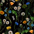 Watercolor seamless pattern of  hand drawn wildflowers, Seamless botanical pattern Royalty Free Stock Photo