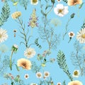 Watercolor seamless pattern of hand drawn wildflowers