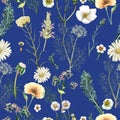 Watercolor seamless pattern of  hand drawn wildflowers Royalty Free Stock Photo