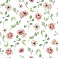 Watercolor seamless pattern hand painted eucalyptus and vintage flowers. Nature eco design branches and leaves isolated on white b Royalty Free Stock Photo