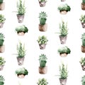 Watercolor seamless pattern of hand painted house potted houseplant. green plants in flower pots. Scrapbooking paper Royalty Free Stock Photo