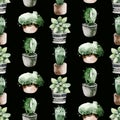 Watercolor seamless pattern of hand painted house potted houseplant. green plants in flower pots. Scrapbooking paper Royalty Free Stock Photo