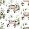 Watercolor seamless pattern of hand painted house potted houseplant. green plants in flower pots. Scrapbooking paper background of