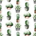 Watercolor seamless pattern of hand painted house potted houseplant. green plants in flower pots. Scrapbooking paper