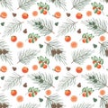 Watercolor seamless pattern. Hand painted illustration of fir tree branch, pine, spruce with cones. Tropical citruis fruits Royalty Free Stock Photo