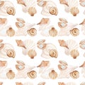 Watercolor seamless pattern from hand painted illustration of sea shell in brown beige color with blue jewelry pearl. Ocean animal Royalty Free Stock Photo