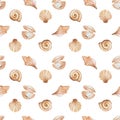 Watercolor seamless pattern from hand painted illustration of sea shell in brown beige color with blue jewelry pearl. Ocean animal Royalty Free Stock Photo