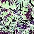Watercolor Seamless Pattern. Hand Painted Illustration of Tropical Leaves and Flowers. Tropic Summer Motif with Monstera Pattern. Royalty Free Stock Photo