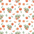 Watercolor seamless pattern. Hand painted illustrations of oranges, grapefruits, tangerines with green leaves, branches Royalty Free Stock Photo