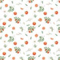 Watercolor seamless pattern. Hand painted illustrations of oranges, grapefruits, tangerines with green leaves, branches Royalty Free Stock Photo