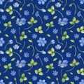 Watercolor seamless pattern with Hepatica nobilis flower on a dark blue background.
