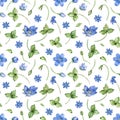 Watercolor seamless pattern with Hepatica nobilis flower on a white background.