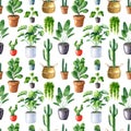 Watercolor seamless pattern with home plants in clay pots and straw basket Royalty Free Stock Photo