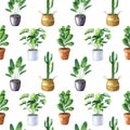 Watercolor seamless pattern with home plants in clay pots and straw basket Royalty Free Stock Photo