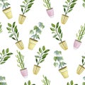 Watercolor seamless pattern of home plants in flower pots. Hand drawn watercolor for banner, print, home or garden decoration Royalty Free Stock Photo