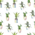 Watercolor seamless pattern of home plants in flower pots. Hand drawn watercolor for banner, print Royalty Free Stock Photo