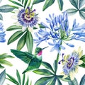 Watercolor seamless pattern. Hummingbird, leaves and passionflora flowers, jungle background. Royalty Free Stock Photo