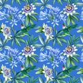 Watercolor seamless pattern, hummingbird, tropical leaves and passionflower flowers, blue background. Royalty Free Stock Photo