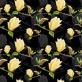 Watercolor seamless pattern with illustration of yellow magnolia branch on black background