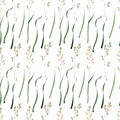 Watercolor seamless pattern with the image of the bluegrass meadow plant