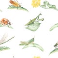 Watercolor seamless pattern with insects, praying mantis, grasshopper, beetle, ladybug, dragonfly on leaves and blades of grass on