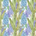 Watercolor seamless pattern with jacinth