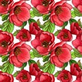 Watercolor seamless pattern of Japanese quince chaenomeles in bloom, hand drawn floral illustration