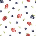 Watercolor seamless pattern of juicu wild berries blueberries, raspberries, lingonberries, strawberries, blueberries Royalty Free Stock Photo