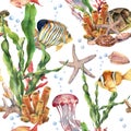 Watercolor seamless pattern with laminaria branch, coral reef and sea animals. Hand painted jellyfish, starfish Royalty Free Stock Photo