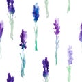 Watercolor Seamless pattern with lavender flowers Royalty Free Stock Photo