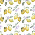 Watercolor seamless pattern of lemons and blossom branches