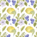 Watercolor illustration of juicy fresh lemons, blueberries and flowers. Royalty Free Stock Photo