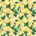 Watercolor seamless pattern with lemons. Hand painted citrus ornament on white