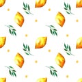 Watercolor seamless pattern with lemons and leaves. Royalty Free Stock Photo