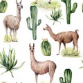 Watercolor seamless pattern with llama and desert cacti. Hand painted traition botanical illustration with animal and
