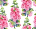 Watercolor seamless pattern with lush pink mallow flowers