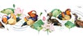 Watercolor seamless pattern Mandarin duck in the blossom lotus flowers. floral pretty design.