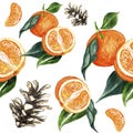 Watercolor seamless pattern with mandarins